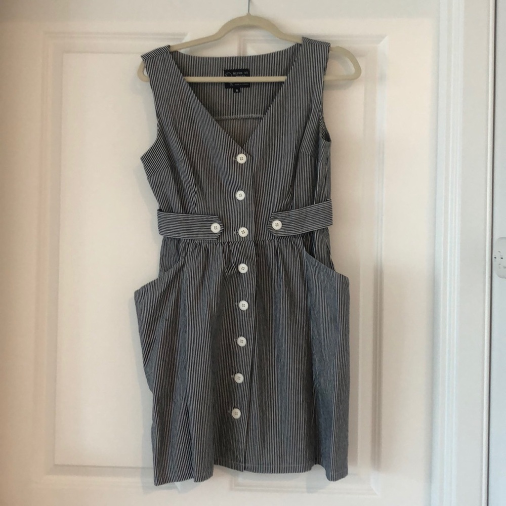 Birds of North America denim striped dress